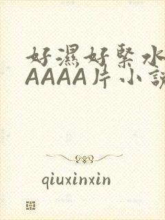 好湿好紧水多AAAAA片小说
