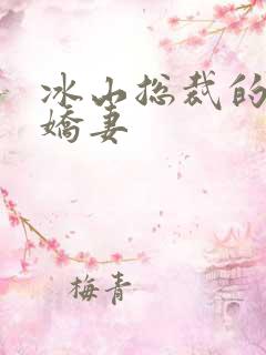 冰山总裁的掠爱娇妻