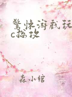 惊悚游戏玩npc总攻