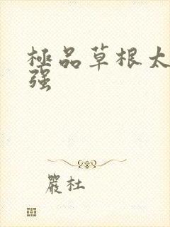 极品草根太子张强