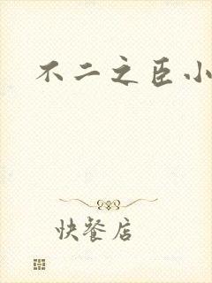 不二之臣小说