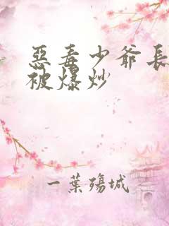 恶毒少爷长大后被爆炒