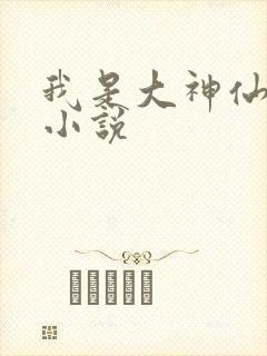 我是大神仙时江小说