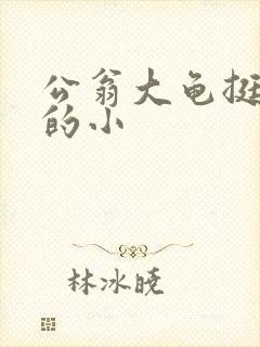 公翁大龟挺进我的小