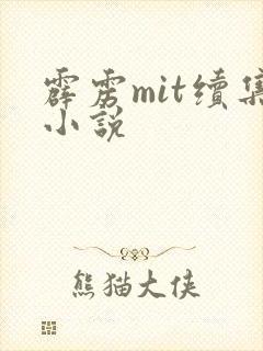 霹雳mit续集小说