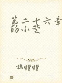 第二十六章满足的小莹