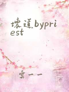 坏道bypriest