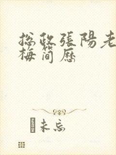 总政张阳老婆吕梅简历