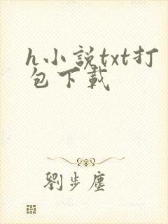 h小说txt打包下载