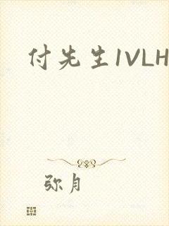 付先生1VLH