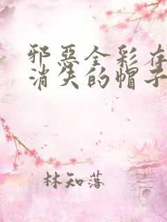 邪恶全彩存在感消失的帽子