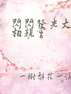 闪闪发光大团圆相亲会