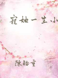宠她一生小说