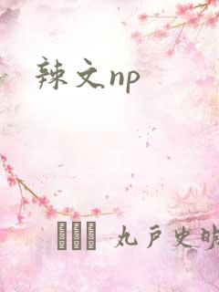 辣文np