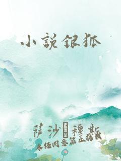 小说银狐
