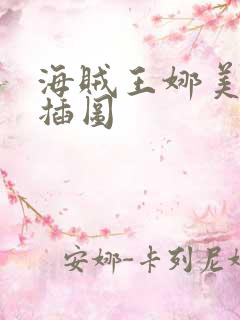 海贼王娜美被轮插图