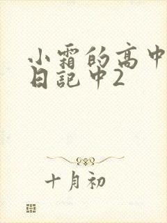 小霜的高中成长日记中2