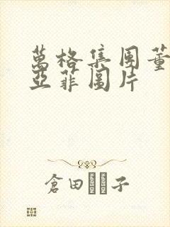 万格集团董事李亚菲图片