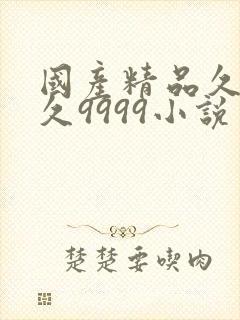 国产精品久久久久9999小说