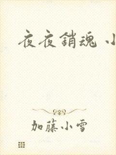 夜夜销魂 小说