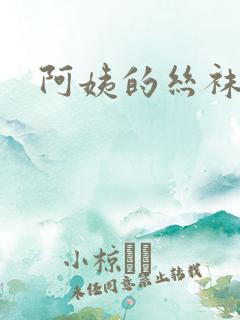 阿姨的丝袜小说