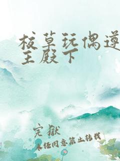 校草玩偶遵命公主殿下