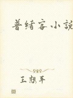 普绪客小说