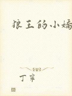 狼王的小娇妻