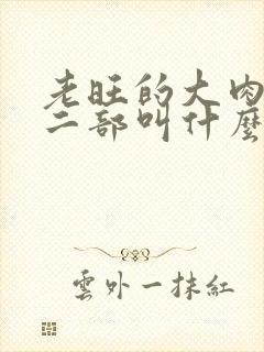 老旺的大肉蟒第二部叫什么小说