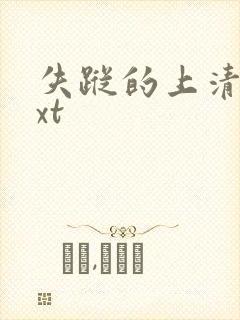 失踪的上清寺txt