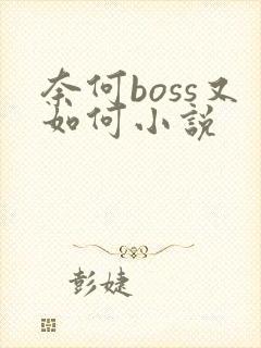 奈何boss又如何小说