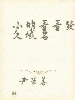 小明看看发布永久域名