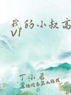 我的小叔高H1V1