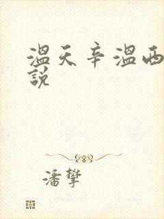 温天辛温西离小说