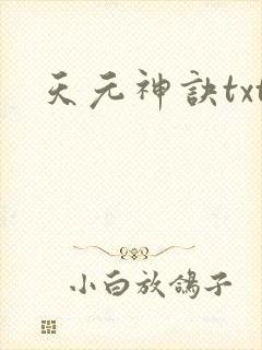 天元神诀txt