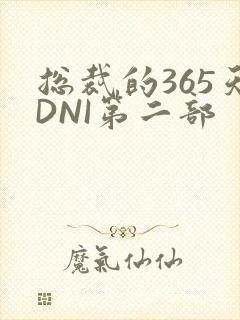总裁的365天DNI第二部