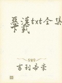 恶汉txt全集下载