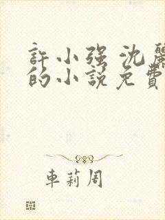 许小强 沈丽娟的小说免费阅读