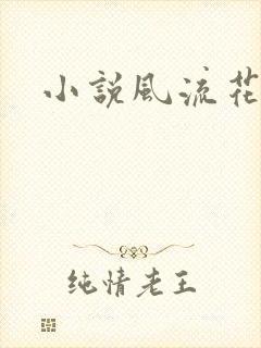 小说风流花少
