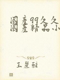 国产99久久久国产精品小说