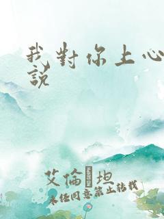 我对你上心了小说