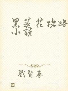 黑莲花攻略手册小说