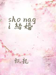 sho nagi 结婚