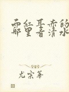 面红耳赤的小说哪里看清水村花