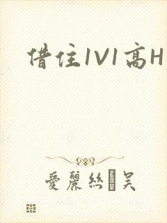 借住1V1高H