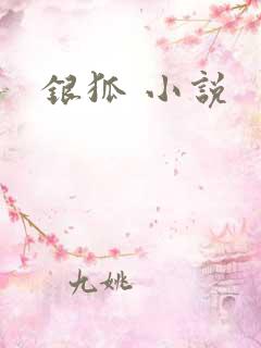 银狐 小说