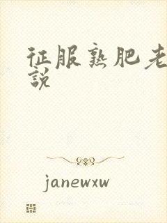 征服熟肥老妇小说