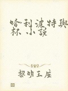 哈利波特与火焰杯 小说