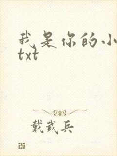 我是你的小小狗txt