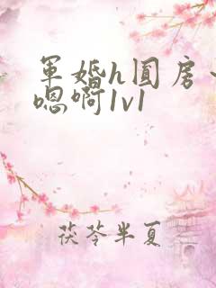 军婚h圆房～h嗯啊1v1